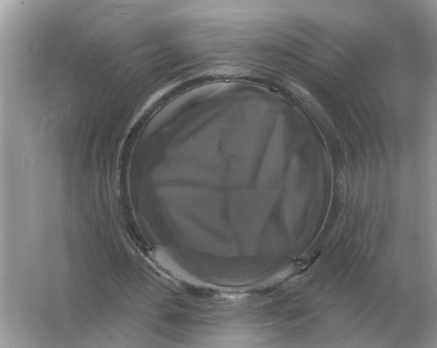 X0000066010484200603242101