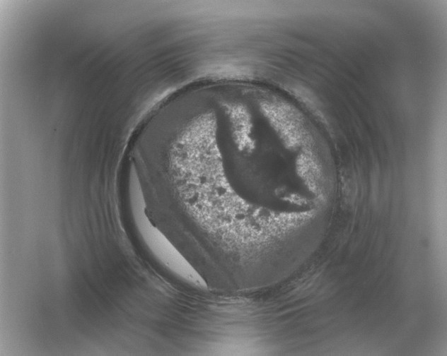 X0000066010487200603242101