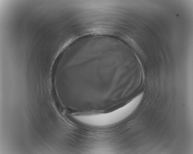 X0000066010488200603242101