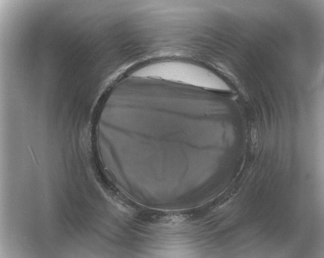 X0000066010492200603242101