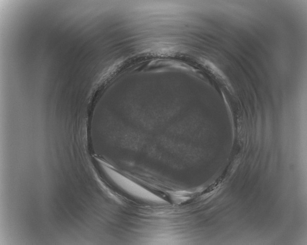 X0000066010493200603242101