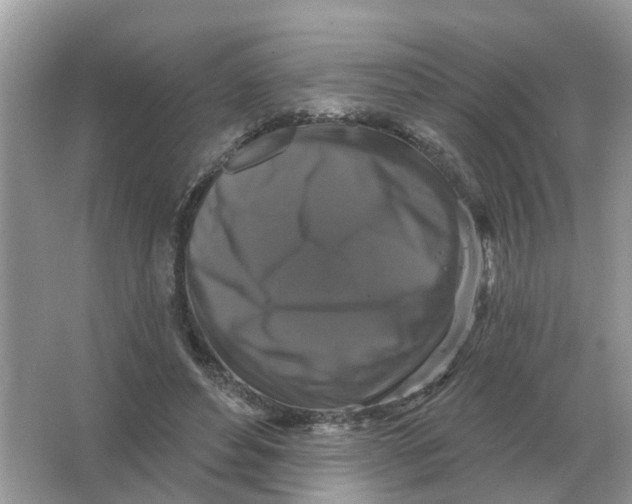 X0000066010496200603242101