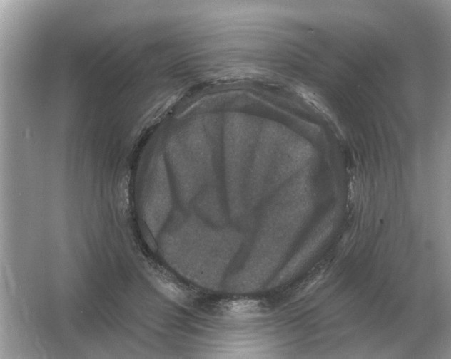 X0000066010501200603242101