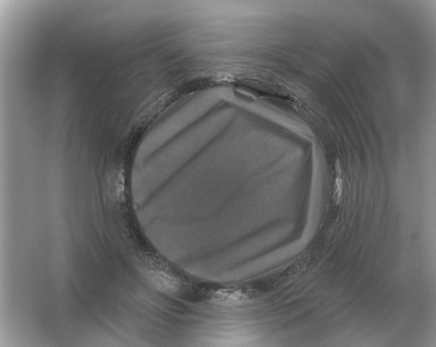 X0000066010502200603242101