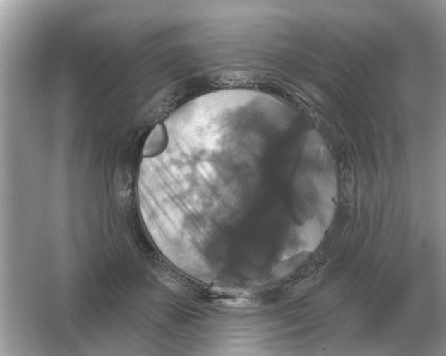 X0000066010507200603242101