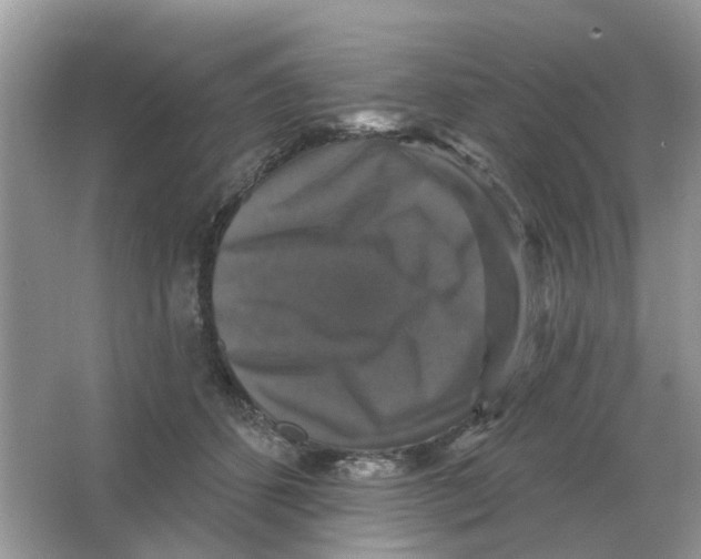X0000066010512200603242101