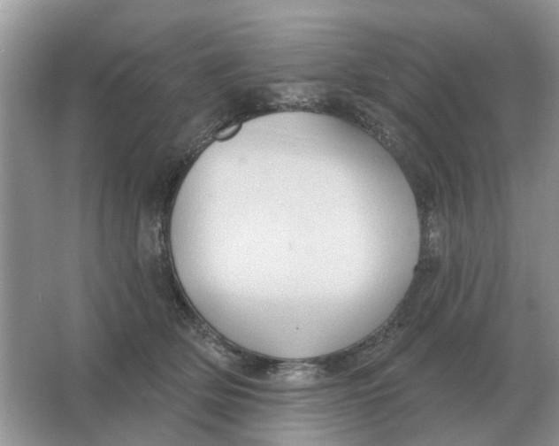 X0000066010514200603242101