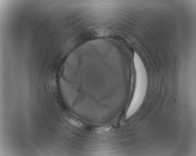 X0000066010516200603242101