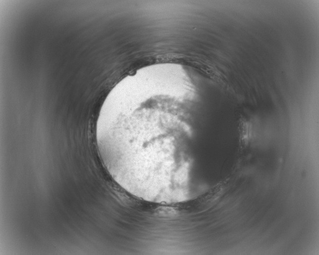 X0000066010519200603242101