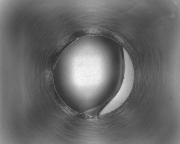 X0000066010521200603242101