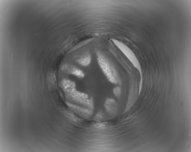 X0000066010523200603242101