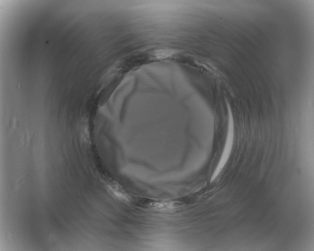 X0000066010524200603242101