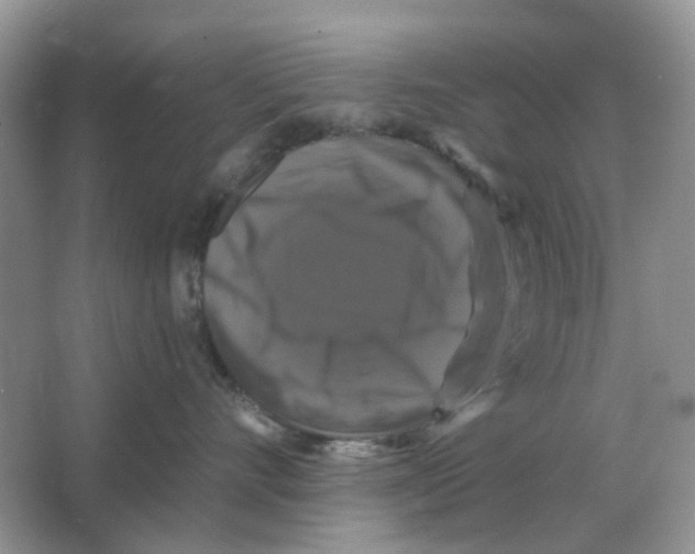 X0000066010528200603242101