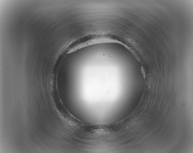 X0000066010544200603242100