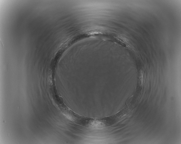 X0000066010547200603242100