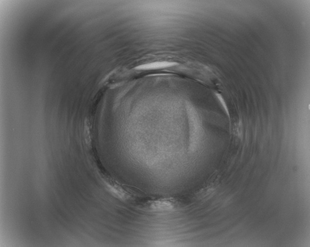 X0000066010572200603242101
