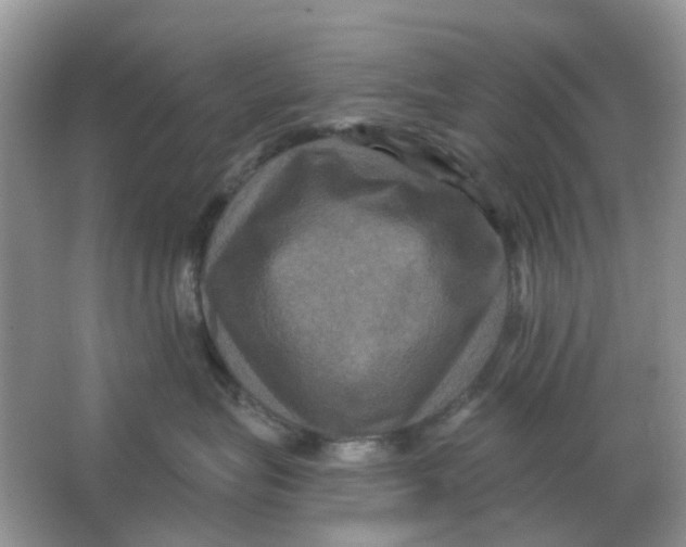X0000066010575200603242101