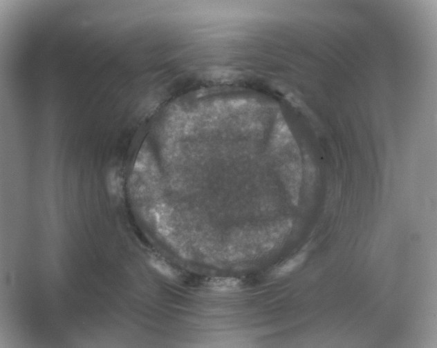 X0000066010576200603242101