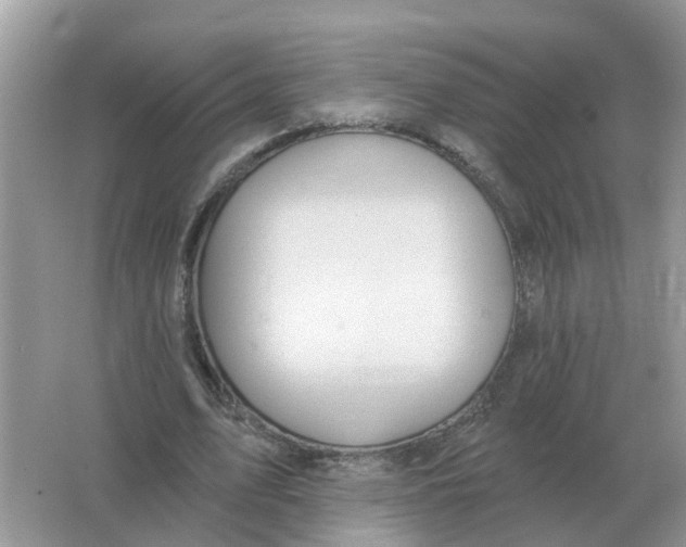 X0000066010583200603242100