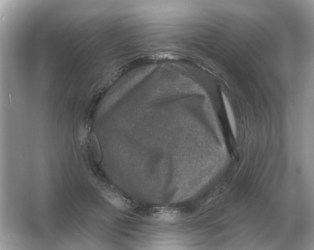 X0000066010601200603242059