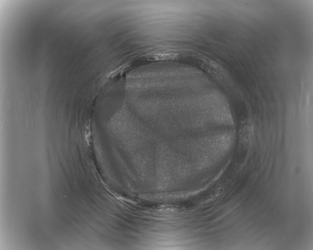 X0000066010604200603242059