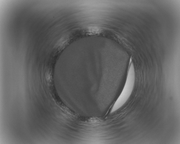 X0000066010608200603242059
