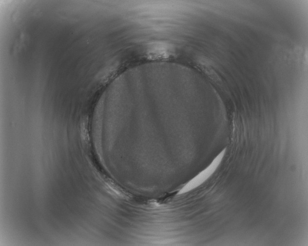 X0000066010616200603242059