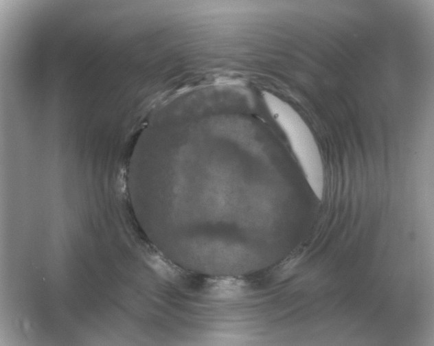X0000066010621200603242059