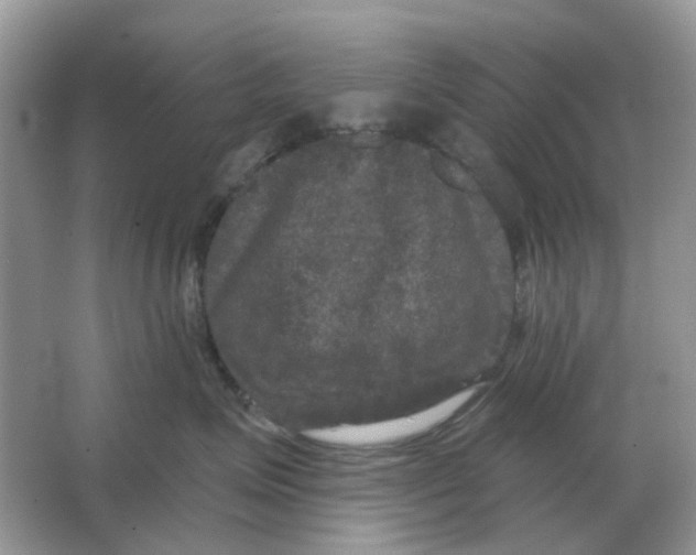 X0000066010623200603242059