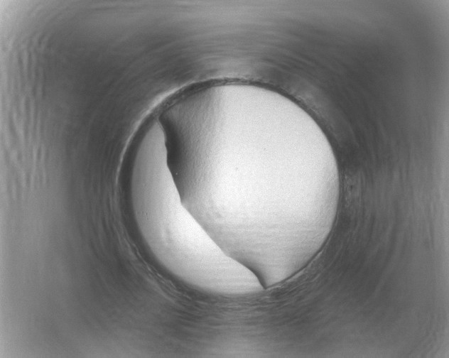 X0000066010628200603242058