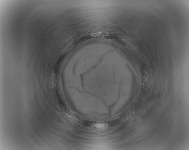 X0000066010659200603242059