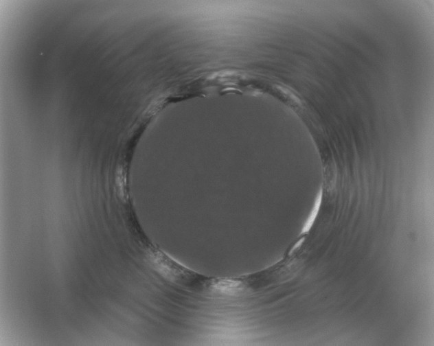X0000066010669200603242059