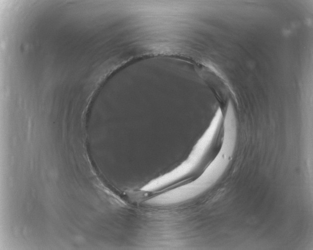 X0000066010673200603242058