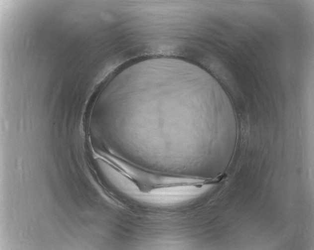 X0000066010674200603242058