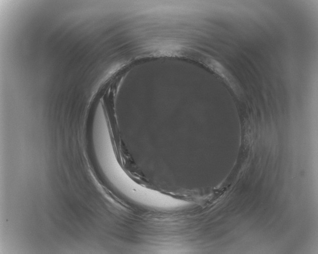 X0000066010677200603242058