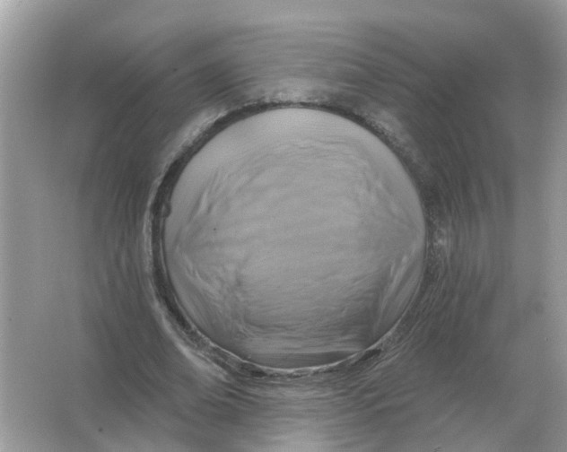 X0000066010678200603242058