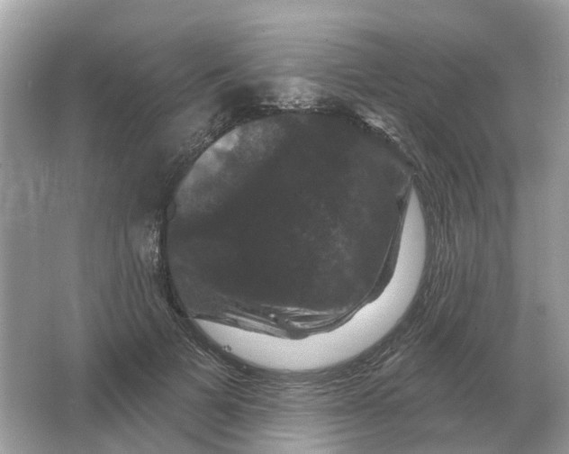 X0000066010697200603242058
