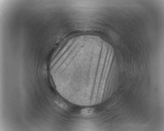 X0000066010700200603242058