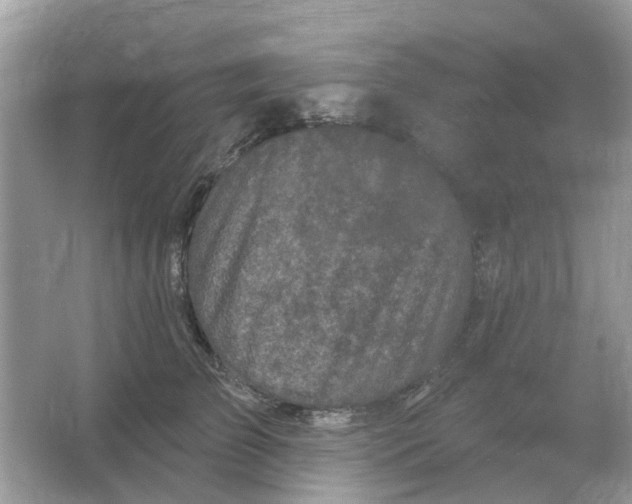 X0000066010709200603242058