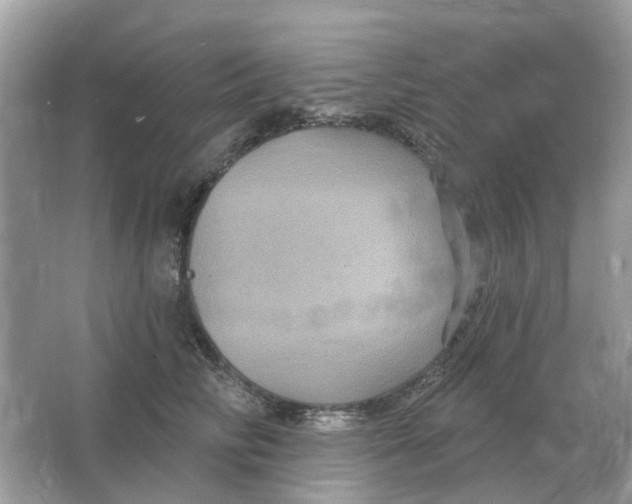X0000066010710200603242058