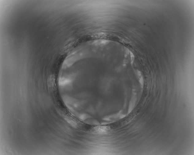 X0000066010711200603242057