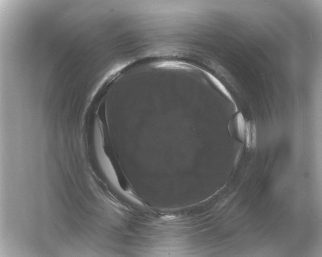 X0000066010723200603242057