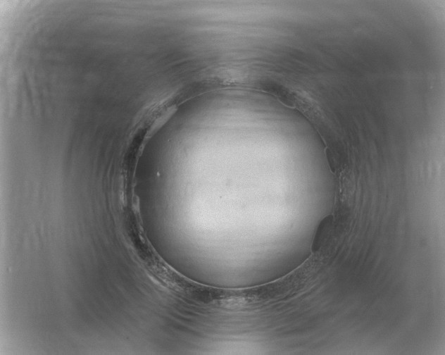 X0000066010740200603242057