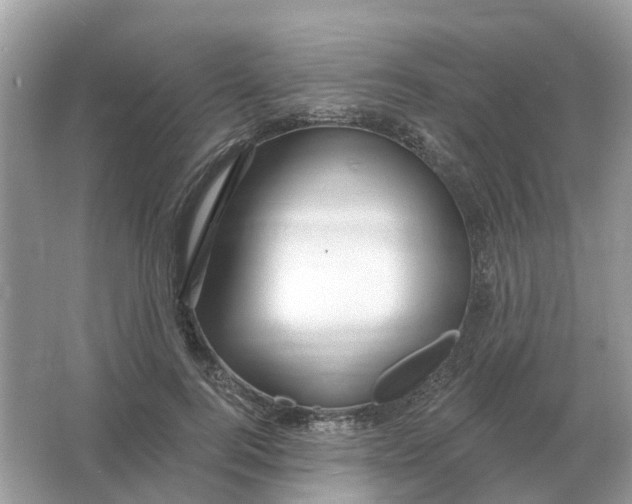 X0000066010744200603242057