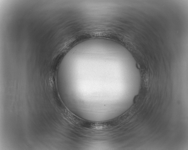 X0000066010746200603242057