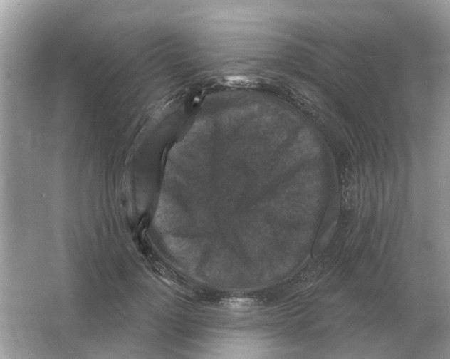 X0000066010748200603242057