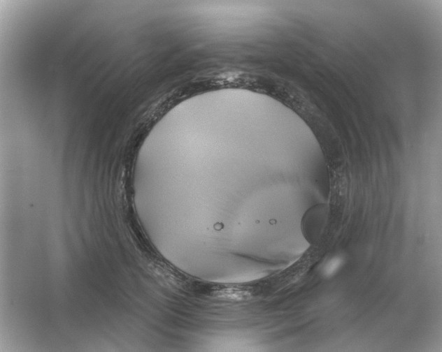 X0000066010754200603242057