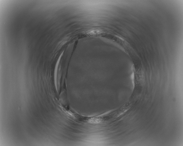 X0000066010762200603242057
