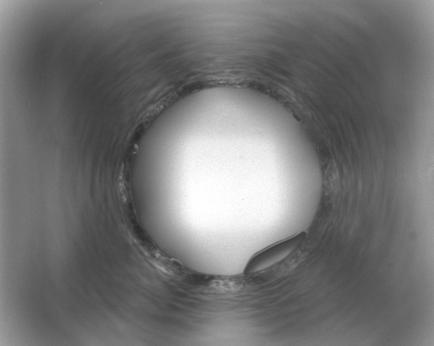 X0000066010764200603242057