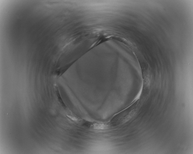 X0000066010766200603242057